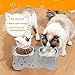 SANWICH Elevated Cat Bowls, Stainless Steel Cat Food Bowls with Placemat, 15° Tilted Raised Pet Food Dishes for Cats, Kitten, Puppies and Small Dogs-2 Pack