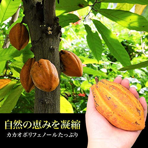 Amazon | ココアパウダー 純ココア (900g) オランダ産 砂糖不使用 無糖