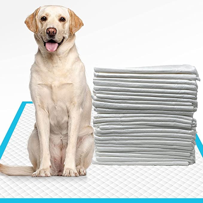 Pups&Pets Dog Training Pee and Potty Pads with Quick Drying Surface and Absorbent Core Suitable for (B0BBB61TPZ) Amazon Price History, Amazon Price Tracker