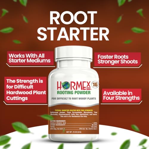 Image of Hormex Rooting Hormone Powder #16 - Fast Roots for Hardwood Plant Cuttings