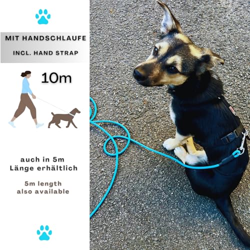 10m Schleppleine Hunde, Wasserfeste Hundeleine Rundleine mit Handschlaufe, Robuste Freilauf-Trainingsleine Cyan-Blau, bis 35kg