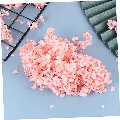 Hojas de Hortensia Secas Rosadas Naturales para Decoración miniatura 6