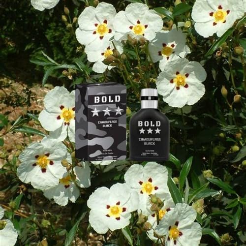 BOLD CAMOUFLAGE BLACK Aromatic fragrance for men. EDT 3.4 Fl. Oz Eau de Toilette