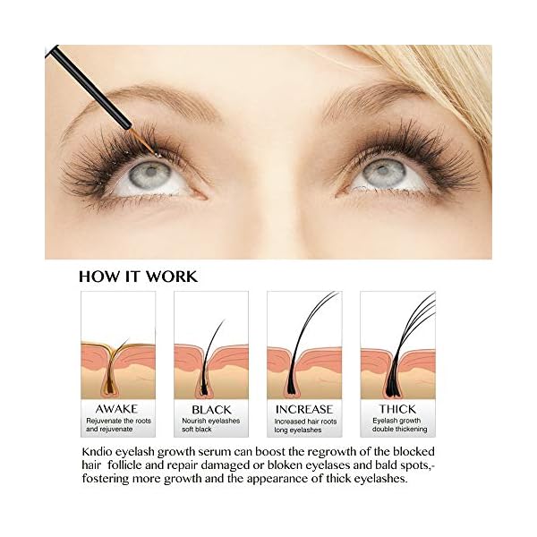 Natural-Lash-Growth-Serum-Eyebrow-Growth-Enhancer-Eyelash-Booster-to-Grow-Longer-Eyelashes-Lash-Boost-Brow-Enhancing-Serum Natural Lash Growth Serum - Eyebrow Growth Enhancer - Eyelash Booster to Grow Longer Eyelashes - Lash Boost & Brow Enhancing Serum