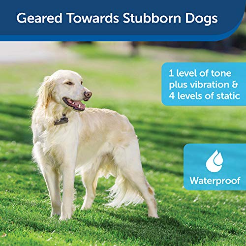 Petsafe ZIG00-14658 Stubborn Dog In-Ground Pet Fence For Dogs And Cats - From The Parent Company Of Invisible Fence Brand thumb #3