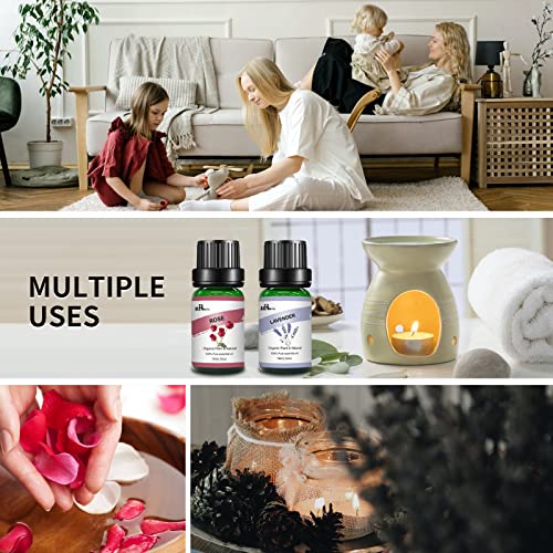 Airoomoil Floral Essential Oils Set Of 12 X 10Ml, Natural Flower Essential Oils For Diffusers For Home, Scented Soap Making, Candle Making, Massage - Rose, Jasmine, Lavender Essential Oil And More. #TOP5