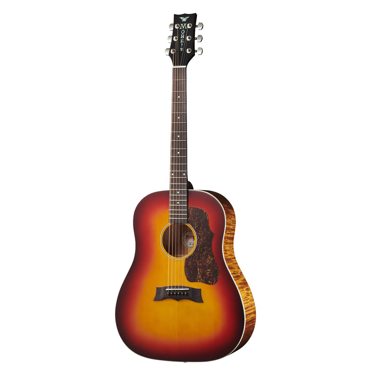 Amazon.co.jp: MORRIS G-021E RBS エレクトリックアコースティック