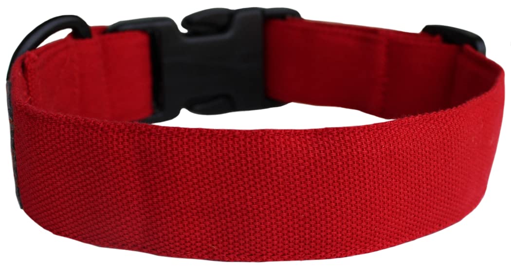 red dog collar