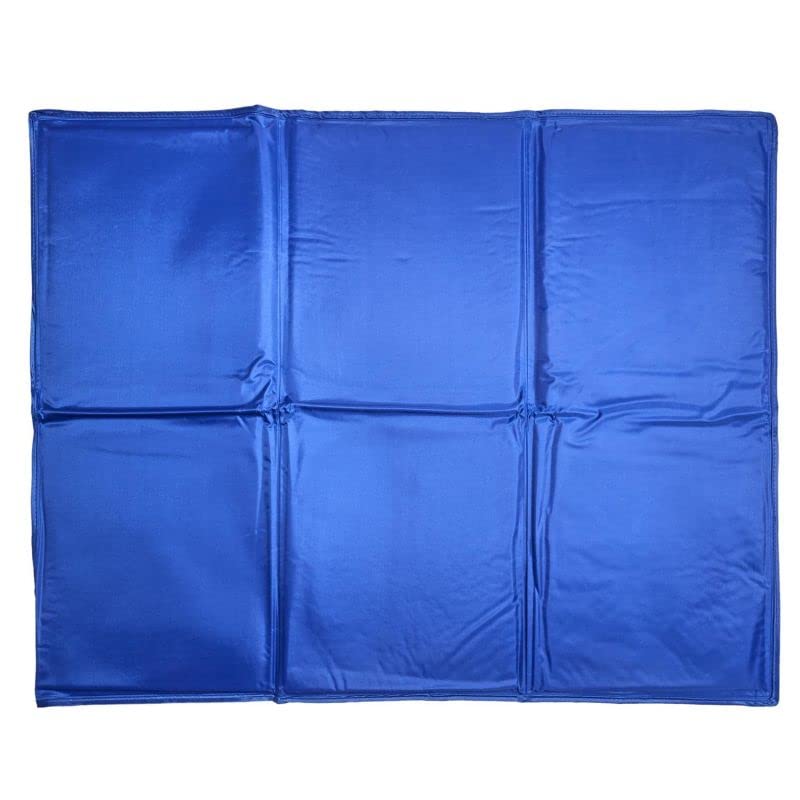 Paris Prix - Surmatelas Rafraîchissant instantané 90cm Bleu
