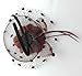 Coolwife Womens Fascinator Veil Flower Cocktail Tea Party Headwear (Coffee)