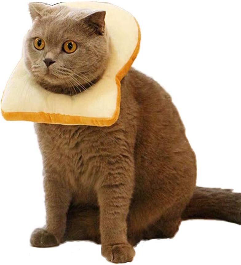 komii Pet Costume，Creative Toast cat Headdress, Soft Bread Slice Collar for Cats， Toast Bread hat, Bread-Shaped pet hat, Easy to Remove, Cute pet Makeup, cat Cosplay Cap, cat Toy (M)