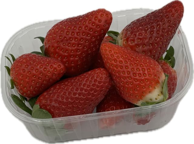Générique Cardon Emballages – Lot de 2 000 Barquettes transparentes 250 g en PET recyclé, Sans couvercle – Pour fraises, framboises, myrtilles et fruits rouges