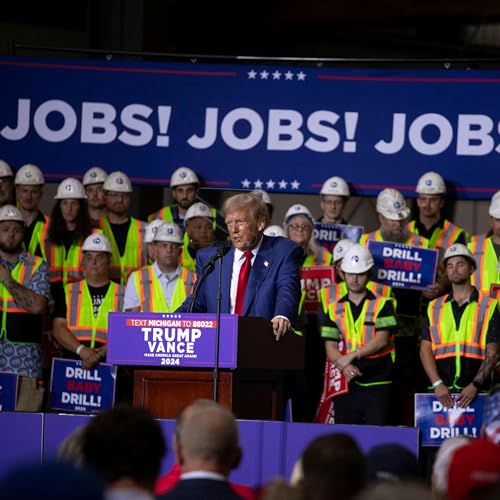 Is Trump an Economic Despot? (with Daron Acemoglu)