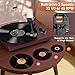 RetroAudio Vinyl Record Player with 24W Bookshelf Speakers(Powerful Bass), HiFi System Turntable for viny records, Vintage Vinyl Player with Magnetic Cartridge, BT IN&OUT, RCA OUT, Auto Stop, 33/45RPM