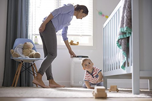 Image of Philips Ac1215 /20 Air Purifier, Long Hepa Filter Life Upto 17000 Hours, Removes 99.97% Airborne Pollutants, 4-Stage Filtration With True Hepa Filter(White)