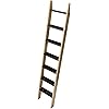 Product Photo 6