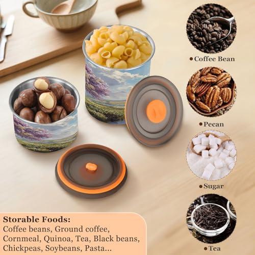 Contenedor hermético de acero inoxidable para café 30oz miniatura 5