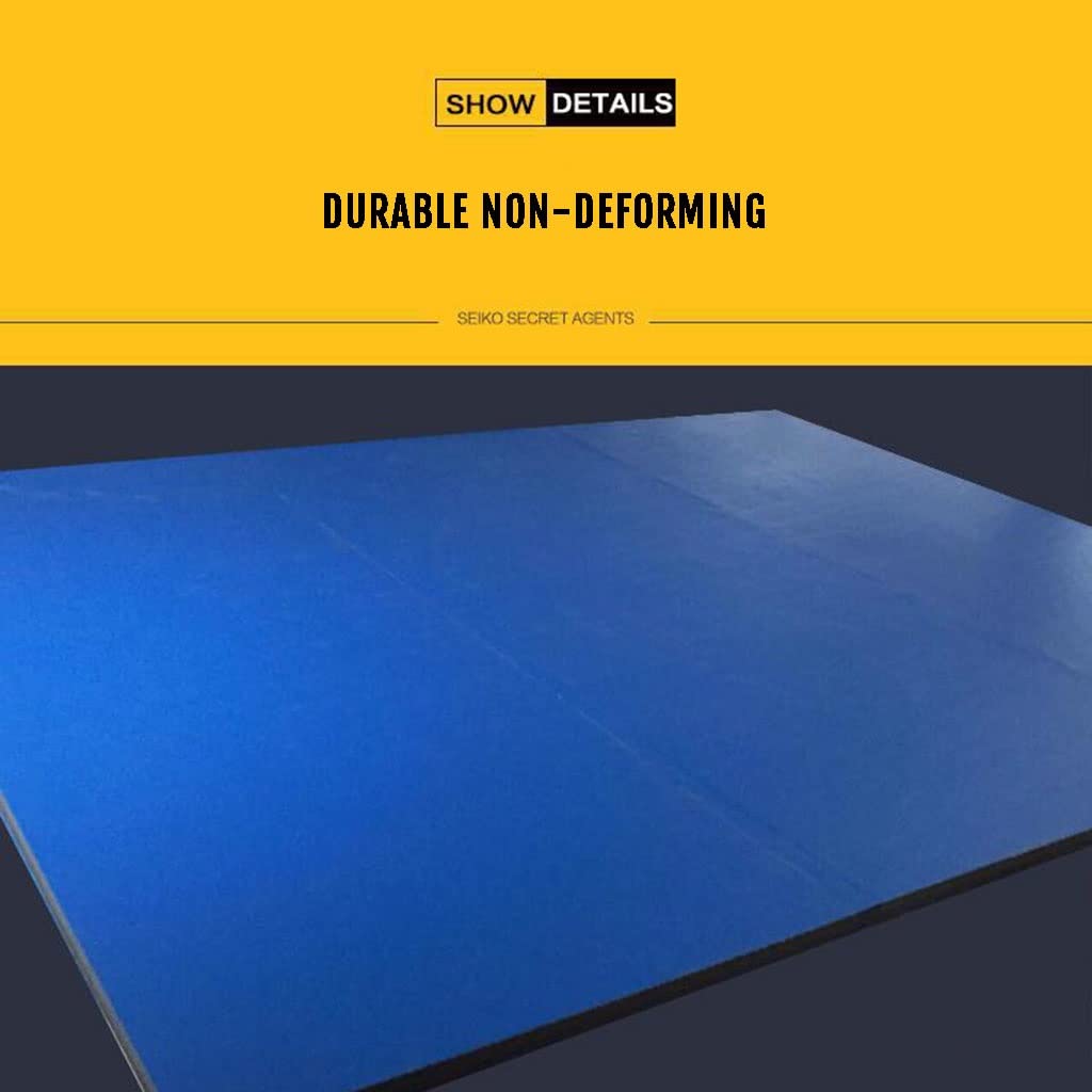 Tappetino da Ginnastica Rollout Durevole Palestra Wrestling Tumbling Mat Cheer Robusto Schiuma Tappetino per Esercizi per L'allenamento Domestico (Size : 5cm/m²/1.97inch Thick)