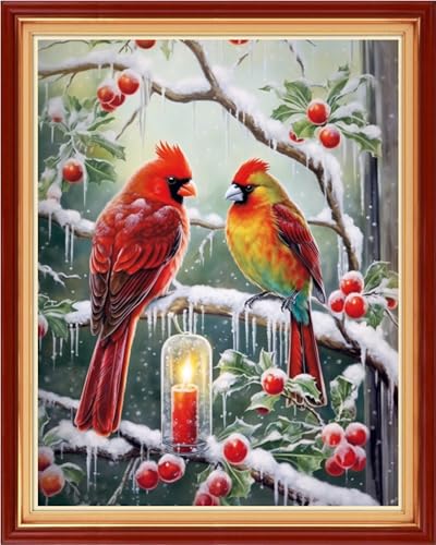 Image of Findvoor Stamped Cross Stitch Kits for Beginner Embroidery Kits for Beginners Adults DIY 11CT Cross Stitch Patterns Needlepoint Kits Crossstitching Kits-Little Bird Snow Scene 16x20 inch