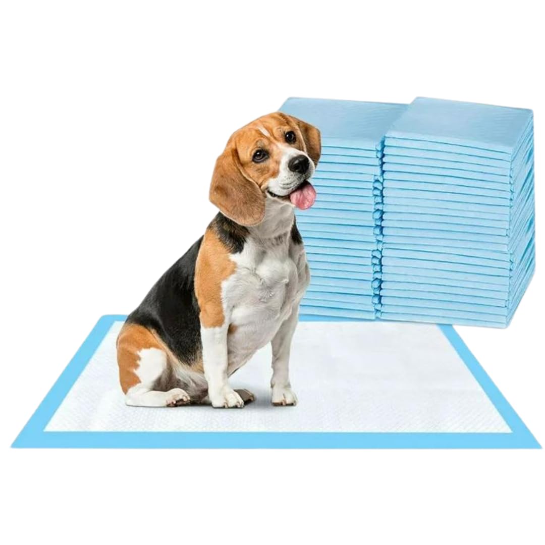 – Bazaar Large Puppy Pads 100 Pack Disposable Puppy Training Pads 60x60cm | Highly Absorbent Leak-Proof Dog Training Pads | Premium Quality Quick-Dry Dog Pads (60x60cm - 100 Count)