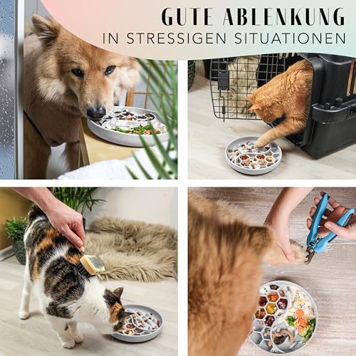 ne&no® Anti Schling Napf für Hunde und Katzen I Slow Feeder I Leckmatte Hund mit großem Saugnapf I Schleckmatte Katze für Nassfutter und Trockenfutter (Stone Grey)