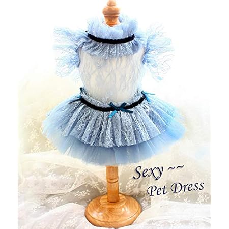 Amazon Zlovepet セクシーで高級感のある青色の透かし彫りのレースソフトの姫スカートに犬猫の服 ペットの服 犬のワンピース タキシード S Zlovepet ドレス ワンピース 通販 Amazon Zlovepet セクシーで高級感のある青色の透かし彫りのレースソフトの姫スカートに犬猫の服 ペットの服 犬のワンピース タキシード S Zlovepet ドレス ワンピース 通販