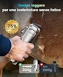 Zoom IMG-1 oneisall tosatrice silenziosa senza fili Zoom IMG-1 oneisall tosatrice silenziosa senza fili