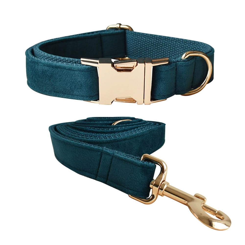 Collar y correa de terciopelo para perros pequeños y grandes