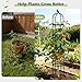 Garden Obelisk Trellis for Climbing Plants Outdoor, 6.2 FT Tomato Cage, Rose, Flowers, Grape, Pea, Cucumber Trellis, Rustproof Plastic Coated Metal Plant Support Trellis for Potted Plants (2 Pack)