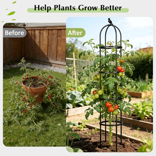 Image of Obelisk Trellis for Climbing Plants Outdoor, 6.2 FT Plant Support for Tomato, Rose, Flowers, Grape, Pea, Cucumber, Rustproof Plastic Coated Metal Plant Tower for Potted Plants - 1PC Garden Trellis