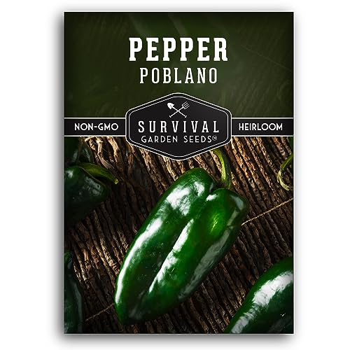 Poblano Pepper Seeds for Planting | Ancho Chile Heirloom Variety Non-GMO Seeds for Roasting Stuffing & Drying Survival Garden Seeds (1 Pack)