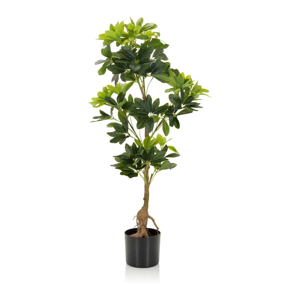 HJH Office 871015 Pianta artificiale SCHEFFLERA Aralia artificiale altezza 100 cm Pianta artificiale albero decorazione ambiente