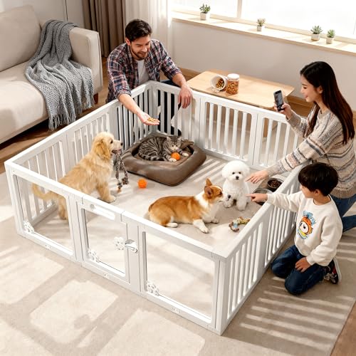 hAtpxr[T[NASȉybgxr[T[NAAqALAETMAtFbgp - tȒPŐȃvX`bNy AJ[&zՕt ^^ybgp(9+3:59C`×59C`)