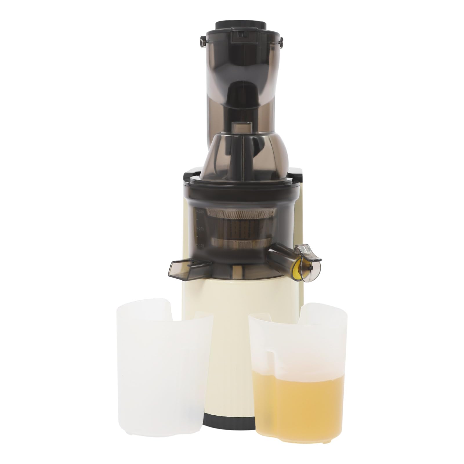 Slow Juicer Entsafter 800W mit 80mm Einfüllschacht für Obst und Gemüse | 98,5% Saftausbeute und 500ml Behälter, leistungsstarke Saftpresse für nährstoffreiche Säfte