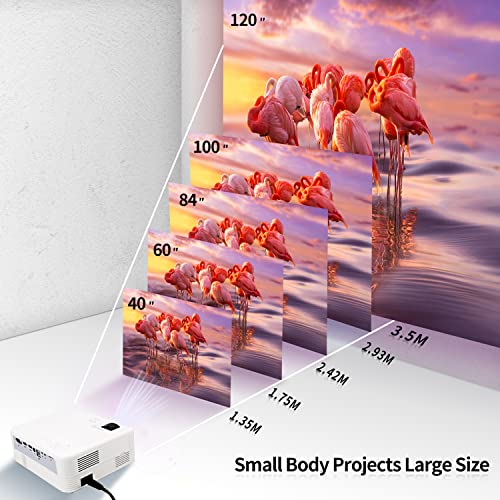 Projector With Wifi And Bluetooth, Cruifu Native 1080P/12000L 480Ansi Portable Projector Hdmi Outdoor Movie Projector 4K Support, Compatible With Tv Stick/Usb/Pc/Ps5/Phone #TOP2