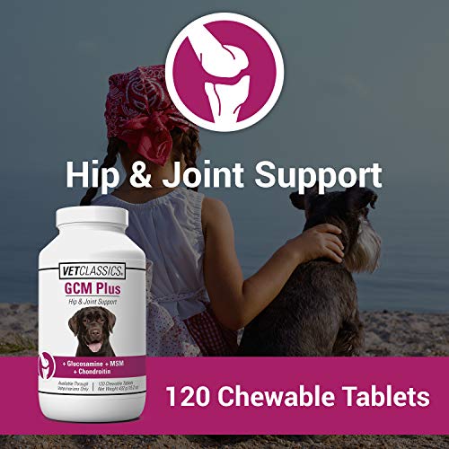 Vet Classics Gcm Plus Hip & Joint Support Dog Supplement – Includes Msm, Chondroitin, Glucosamine – Supports Healthy Joints, Flexible Hips In Dogs – Chewable Tablets 120 Ct. #TOP1