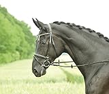 Busse