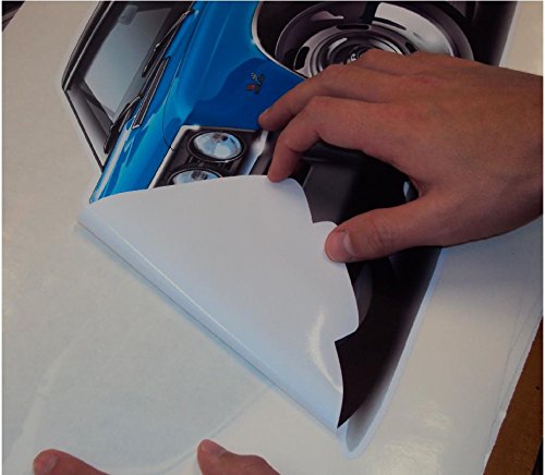 1964 Falcon Wall Decal 2Ft Long Vinyl Decals Stickers For Boys Cars Old Mens Bedroom Garage Man Cave Home Decor #TOP7