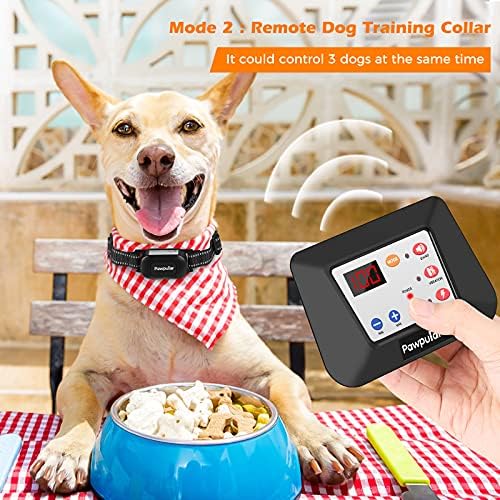 Can Electric Fence Dog Collars Get Wet