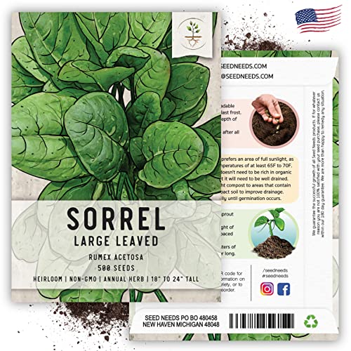 Seed Needs Large Leaf Sorrel Seeds for Planting - Heirloom Non-GMO & Untreated Medicinal or Culinary Herb - Grow a Home Grown Outdoor Garden (1 Pack) - Image 5