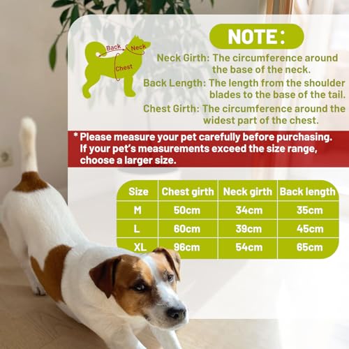 Reflective Dog Safety Vest, High-Visibility Fluorescent Yellow Dog Coat with Elastic Straps, Lightweight Reflective Dogs Accessories for Walking & Training, Fits Dogs with 38–39cm Neck