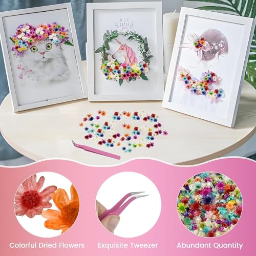 800 PCS Mini Flores Secas para Resina para Manualidades miniatura 4