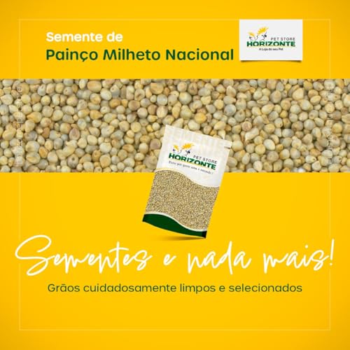 Painço Milheto - 1kg - Horizonte Pet Store - Semente Limpa para Pássaros Curió Coleiro Canários Bicu