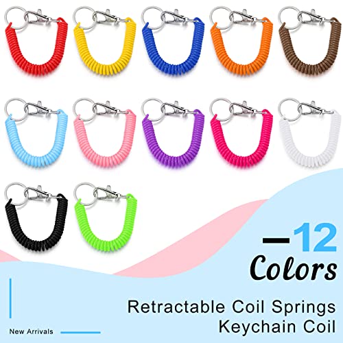 Fiada 12 Pack Retractable Coil Springs Keychain Colorful Coil Cord Key Chain Holder Lanyard With Keyring Lobster Clasp Retractable Coil Keychain Spiral Lanyard Cord Prevent Key Losing, 12 Colors #TOP1