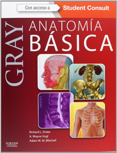 Gray: anatomía básica