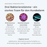 kaer basic Probiotik Aktiv für Hunde - mit lebenden Darmbakterien zur Darmsanierung & Aufbaukur bei Durchfall, Kotfressen, Blähungen & nach Antibiotika/Wurmkur - 200g Pulver