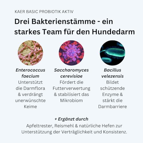 kaer basic Probiotik Aktiv für Hunde - mit lebenden Darmbakterien zur Darmsanierung & Aufbaukur bei Durchfall, Kotfressen, Blähungen & nach Antibiotika/Wurmkur - 200g Pulver