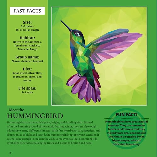 Ultimate Animal Kingdom Sticker Painting: 10 Incredible Paintings (Design Originals) Sticker by Number for Adults - Lion, Owl, Eagle, Giraffe, Frog, Tiger, and More, on Perforated Pages - Image 7