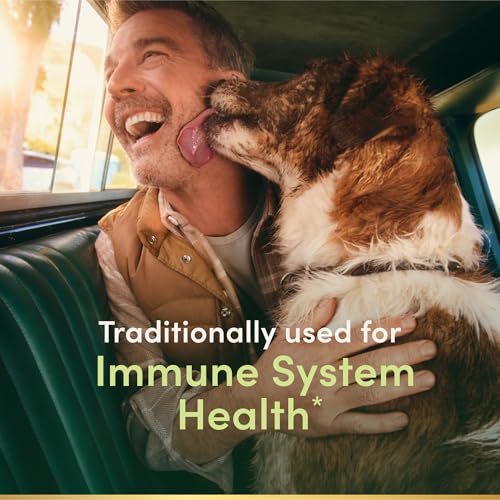 Nature's Bounty Echinacea, Herbal Supplement, Supports Immune Health, 400mg, 100 Capsules