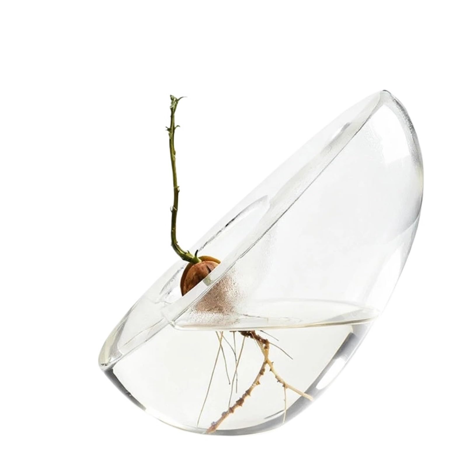 QuxetlRyz Glass Hydroponic Vase Avocado Shaped Hydroponics Home Vase Decor Glass Seed Planting Cultivation Container Table Decoration and Accessories Vases
